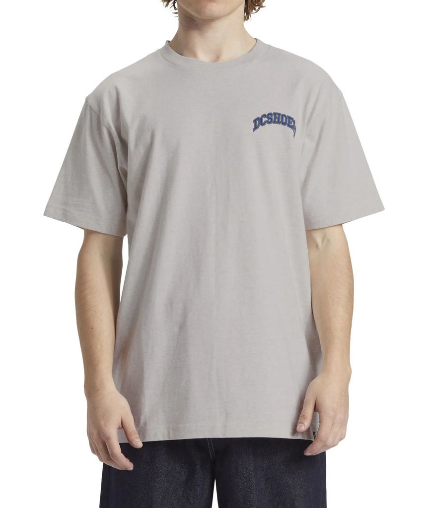 DC Shoes Poleras Hombres Orientation Hss Scvw