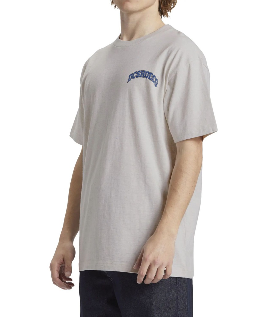 DC Shoes Poleras Hombres Orientation Hss Scvw