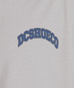 DC Shoes Poleras Hombres Orientation Hss Scvw