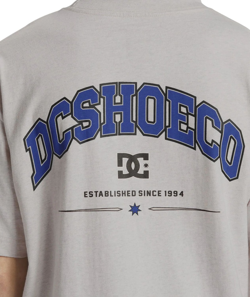 DC Shoes Poleras Hombres Orientation Hss Scvw