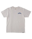 DC Shoes Poleras Hombres Orientation Hss Scvw