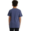 DC Shoes Poleras Build Up B