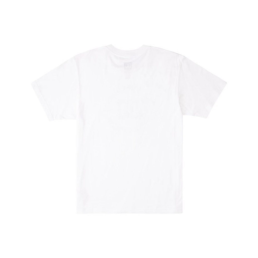 DC Shoes Poleras Hombres Star Pilot Wbb0