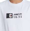 [2301292] DC Shoes Poleras Hombres Split Star Szs0 (S)
